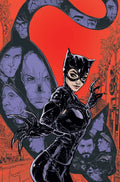Catwoman Poster